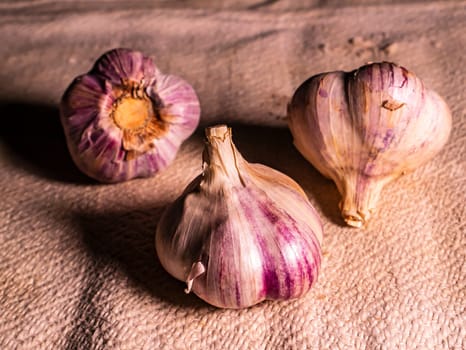 Spicy garlic vegetable on a black background. Harvest vegetables. Head of garlic. Hot seasoning. Vegetarian food. Agriculture. Background image. Food photo.
