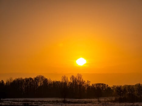 Orange sunny sunset over the forest horizon. Orange sunset. Morning sunrise. Morning dawn. Evening twilight. Cloudy horizon. Shadows of trees. Natural landscape. Snowy meadow. Winter season.