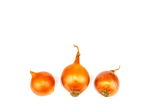 Vegetable onion golden color on a white background. Vegetable onion. Harvesting vegetables. Bulbs. Agricultural plants. Farm. White background. Vegetables from the beds. Garden harvest.