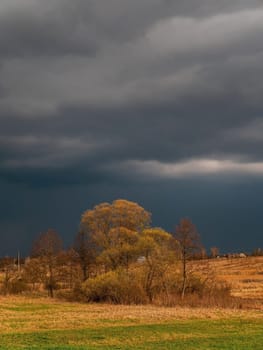 Trees against the background of a thundercloud. Cloudy horizon. The sky is in thunderclouds. Gloomy sky. A hurricane is approaching. Natural cyclone. The storm is approaching. Weather forecast.