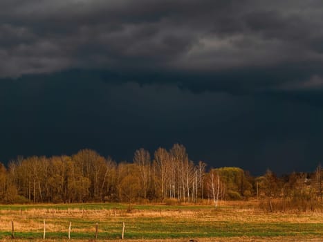 Trees against the background of a thundercloud. Cloudy horizon. The sky is in thunderclouds. Gloomy sky. A hurricane is approaching. Natural cyclone. The storm is approaching. Weather forecast.
