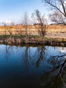 Trees on the shore are reflected in the water of the lake. Specular reflection in the water. Lakes and rivers. Natural landscape. Trees on the shore of the reservoir. Spring season. Autumn weather.