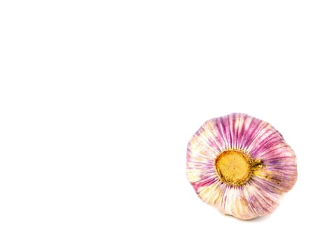 Garlic vegetable bulb on a white background. Allium sativum. Spicy garlic vegetable. Family of onions. Plant of the amaryllidaceae family. Garden plant. Vegetarian food. Spicy raw food.