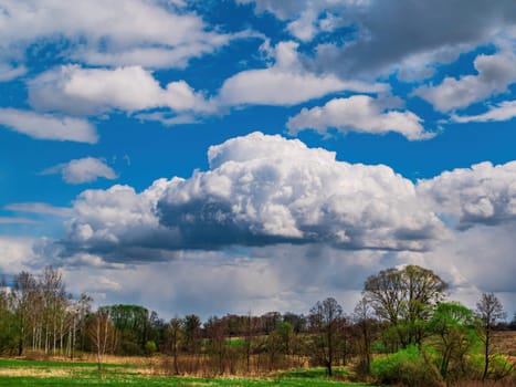 Forest horizon against a blue sky with white clouds. Cloudy horizon. Blue sky. Forests and meadows. Natural season. Spring season. Rain clouds. Background image.