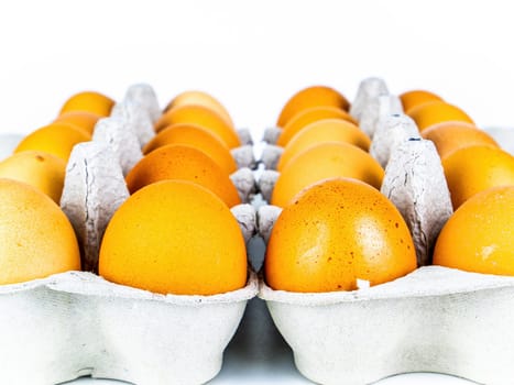 Brown chicken eggs in a carton box. Egg. Paper containers. Healthy food. Poultry products. Chicken egg shells. Packaged food. Agricultural business. Eco food. White background.