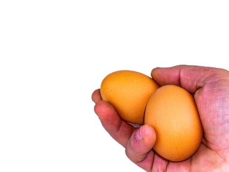 Two chicken eggs in a man's hand. Egg. Human hand palm. Healthy food. Poultry products. Chicken egg shells. Hands of a man. Agricultural business. Eco food. White background.