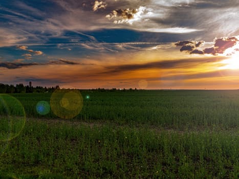 Clouds in the orange rays of the sunset over a green farm field. Sunny sunset. Blue sky with clouds. Cloudy horizon. Evening twilight. Agriculture. Farm field. Morning sunrise. Natural landscape.