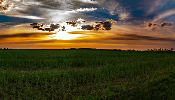 Clouds in the orange rays of the sunset over a green farm field. Sunny sunset. Blue sky with clouds. Cloudy horizon. Evening twilight. Agriculture. Farm field. Morning sunrise. Natural landscape.