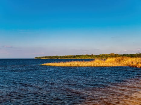 The coastline along the water horizon of the Dnieper River. Dnepr River. Rivers and seas. Blue sky. Heavenly horizon. Reed shore. Summer season. A place to rest. Natural landscape. Vacation.