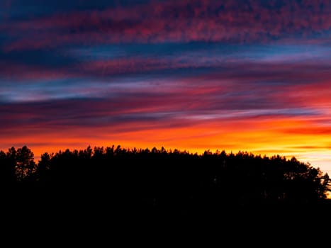 Sky in orange colors of a sunny sunset over the forest horizon. Pink sunset. Cloudy sky. Evening twilight. Atmospheric phenomenon. Rain clouds. Dramatic skies. Natural background. Nature landscape.