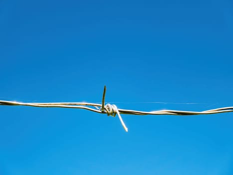 Barbed wire against the blue sky. Barbed wire. Blue sky. Protection of the territory. Closed area. Stainless steel. Prison fence. Restriction of rights and freedoms. Freedom of the individual.
