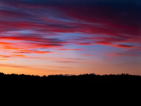 Sky in orange colors of a sunny sunset over the forest horizon. Pink sunset. Cloudy sky. Evening twilight. Atmospheric phenomenon. Rain clouds. Dramatic skies. Natural background. Nature landscape.
