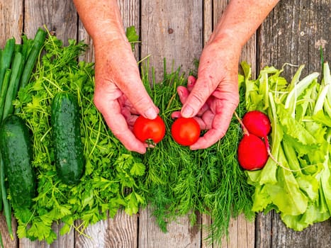 Vegetables in the hands of a seller on a wooden trade counter. Green cucumber. Red tomato. Red radish. Vegetable salad. Onions and parsley. Dill and lettuce salad. Food market. Business.