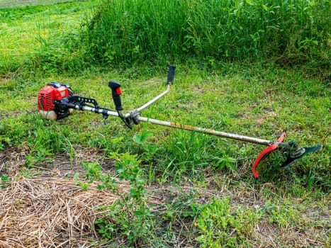 Manual petrol lawn mower for mowing lawns. A grass trimmer. Mow the grass. Use a lawn mower to mow the grass. Gardening equipment. Gardening Tools. Industrial equipment.