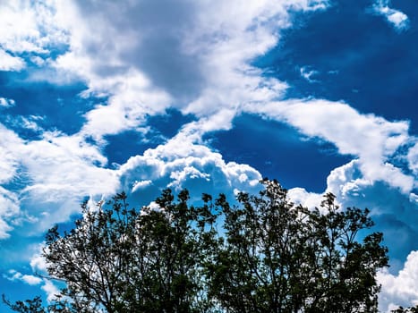 Branches of a tree on a background of a cloudy blue sky. Blue skies. White clouds. Thunderclouds. Green leaves. Branch of a tree. Sunny day. Natural landscape. Background image.