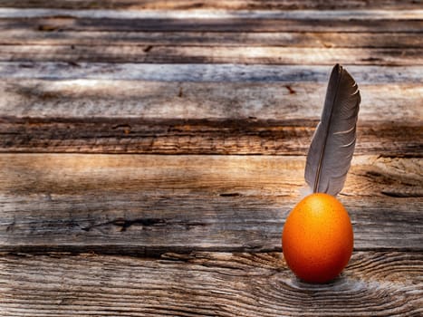 Chicken eggs with a bird feather on a wooden table. Egg. Easter eggs. Bird feather. Easter tradition. Diet food. Agricultural poultry farming. Agricultural business. Livestock farm. Product.