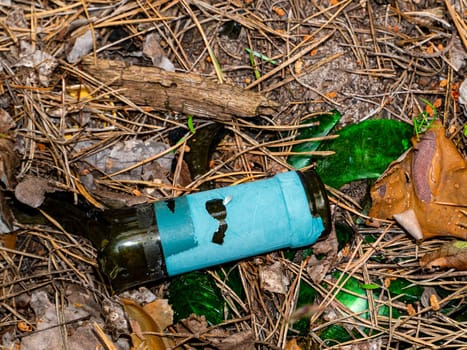 The neck of a broken wine glass bottle on pine needles. Broken glass. Wine bottle. Camping in the forest. Hiking. Waste garbage in nature. Ecology. Environmental protection. Waste dump.