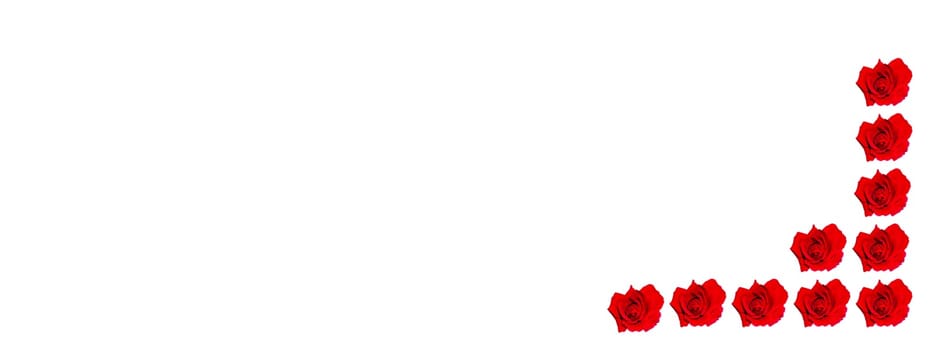 Red rose flower on a white background with place for text. Red Rose. Bouquet of flowers. Template for text. Bridal bouquet. Valentine's Day. Greeting card. Happy Birthday. Background image.