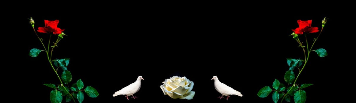 Red roses and white birds doves on a black background. Two birds doves. Rose flowers. Red and white colors. Black background. Day of Remembrance. Funeral services. Template for text.