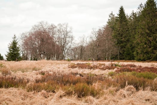 The High Fens, Hoge Venen, Belgium, Signal Van Botrange