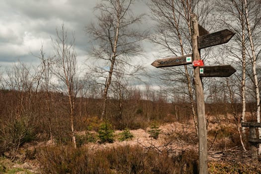The High Fens, Hoge Venen, Belgium, Signal Van Botrange
