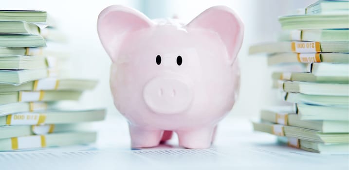 Piggy bank between dollar bills