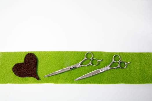 Two hairdresser's scissors