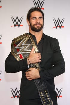 Seth Rollins (WWE Superstar),WWE Live,O2 World Hamburg,15.04.2015