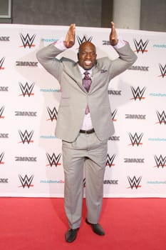 Titus O'Neil (WWE),WWE Live,O2 World Hamburg,15.04.2015