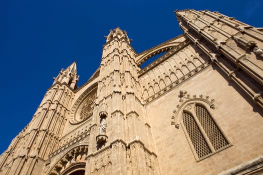 Detail of Mallorca cathedral, in Palma de Mallorca, Spain