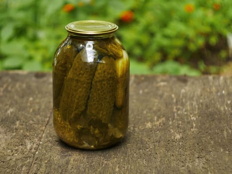 homemade canned cucumbers in a glass jar close-up