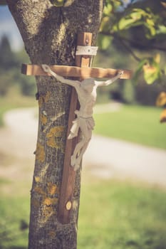 Crucifix on a tree, outdoors, jesus christ
