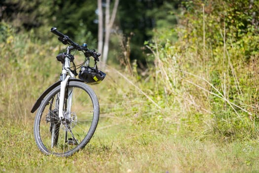 Bike tour. Bike, grass and wood. Outdoors, text space
