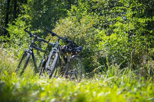 Bike tour. Bike, grass and wood. Outdoors, text space