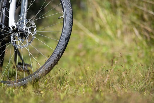 Bike tour. Bike, grass and wood. Outdoors, text space