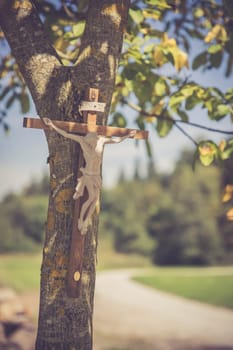 Crucifix on a tree, outdoors, jesus christ