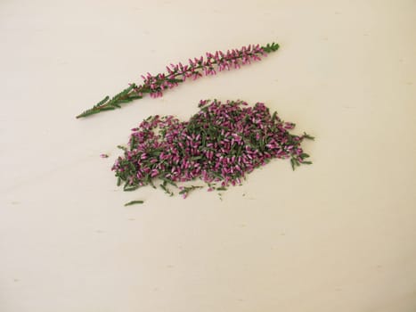 Dried heather herb with leaves and flowers on a wooden board