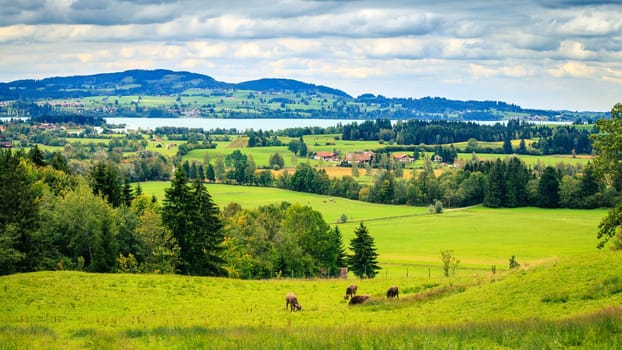 Scenic view of the countryside near Schwangau in Bavaria, Germany
