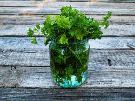 Green parsley leaves in a glass jar with water. Petroselinum crispum. Culinary seasoning. Vegetarian food. Agricultural business. Farm harvest. Vegetable salad. Wooden background.