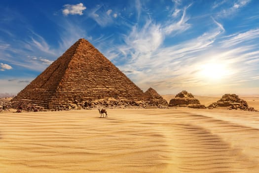 The Pyramid of Menkaure at sunset in Egypt and a camel nearby, Giza.