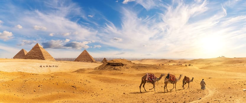 Pyramids of Egypt and a bedouin with camel caravan, sunset panorama, Giza.