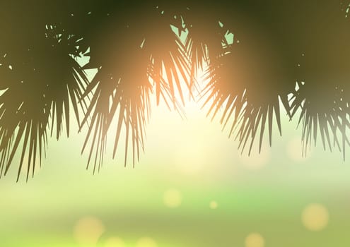 Palm tree leaves against a bokeh light background