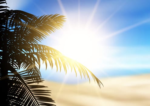 Silhouette of a palm tree on a defocussed beach landscape