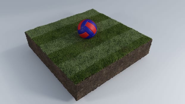 3D Render of Soccer Ball of Grass Patch