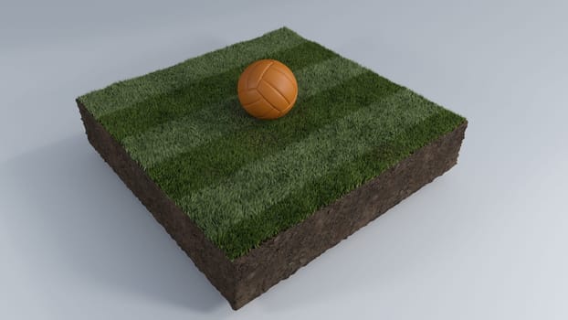 3D Render of Soccer Ball of Grass Patch