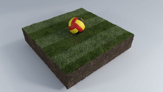 3D Render of Soccer Ball of Grass Patch