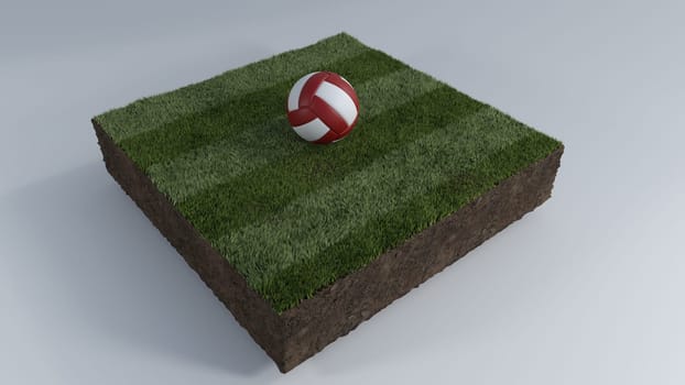 3D Render of Soccer Ball of Grass Patch
