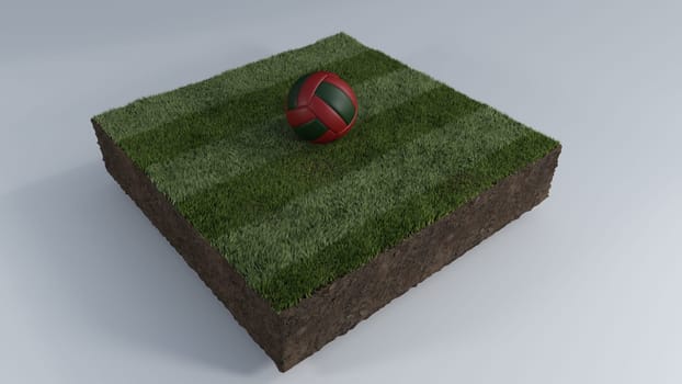 3D Render of Soccer Ball of Grass Patch