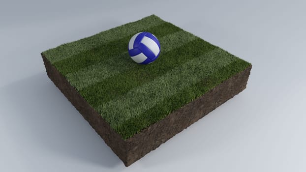 3D Render of Soccer Ball of Grass Patch