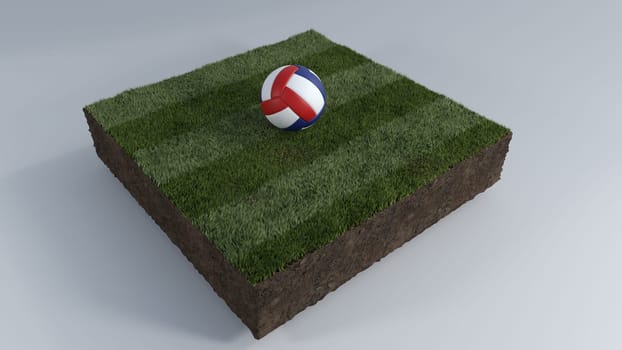 3D Render of Soccer Ball of Grass Patch